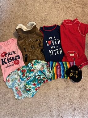 Mixed Pet Apparel Bundle - Pink, Brown, Navy, Red, Floral, Rainbow